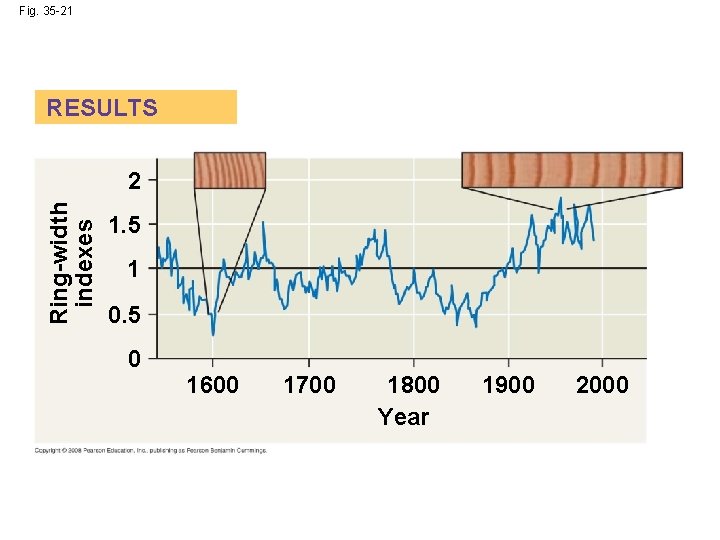 Fig. 35 -21 RESULTS Ring-width indexes 2 1. 5 1 0. 5 0 1600