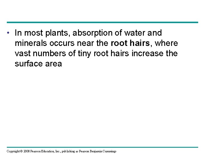  • In most plants, absorption of water and minerals occurs near the root