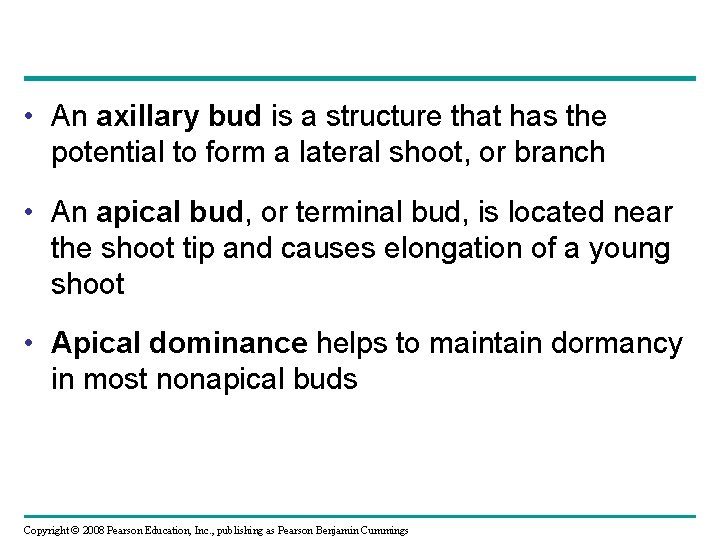  • An axillary bud is a structure that has the potential to form