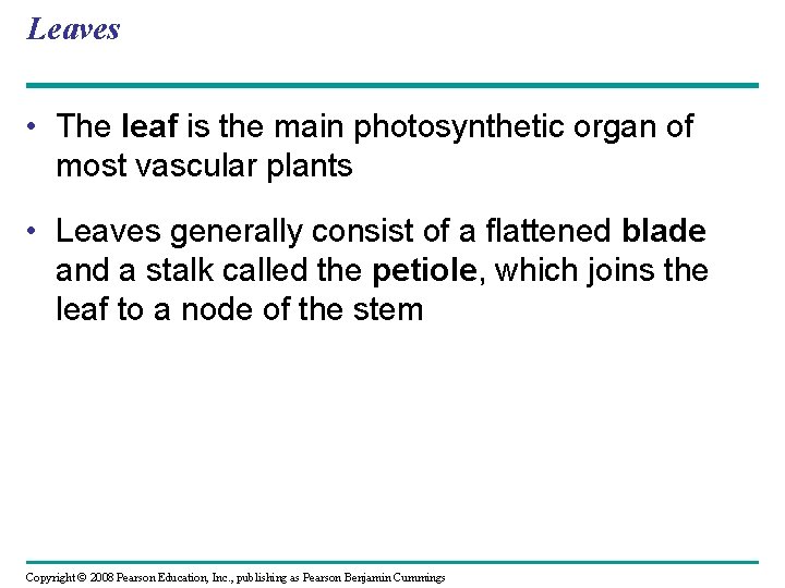 Leaves • The leaf is the main photosynthetic organ of most vascular plants •