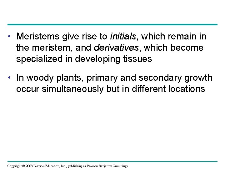  • Meristems give rise to initials, which remain in the meristem, and derivatives,