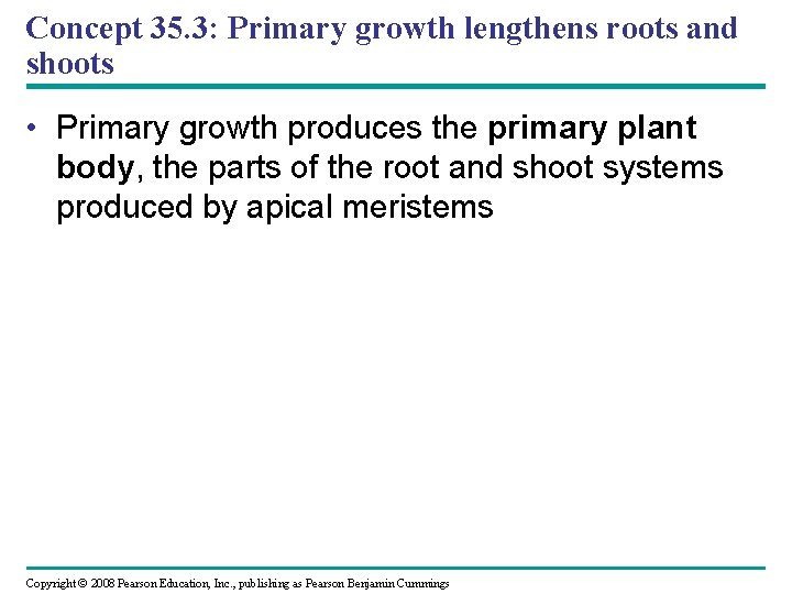 Concept 35. 3: Primary growth lengthens roots and shoots • Primary growth produces the