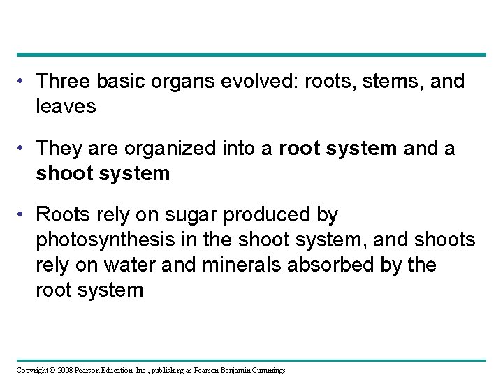  • Three basic organs evolved: roots, stems, and leaves • They are organized