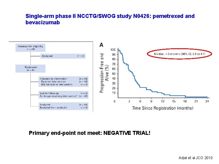 Single-arm phase II NCCTG/SWOG study N 0426: pemetrexed and bevacizumab Primary end-point not meet: