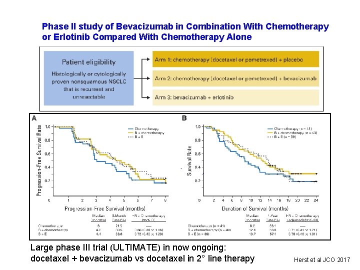 Phase II study of Bevacizumab in Combination With Chemotherapy or Erlotinib Compared With Chemotherapy