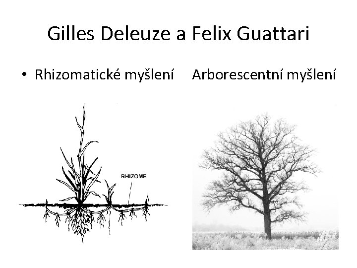 Gilles Deleuze a Felix Guattari • Rhizomatické myšlení Arborescentní myšlení 