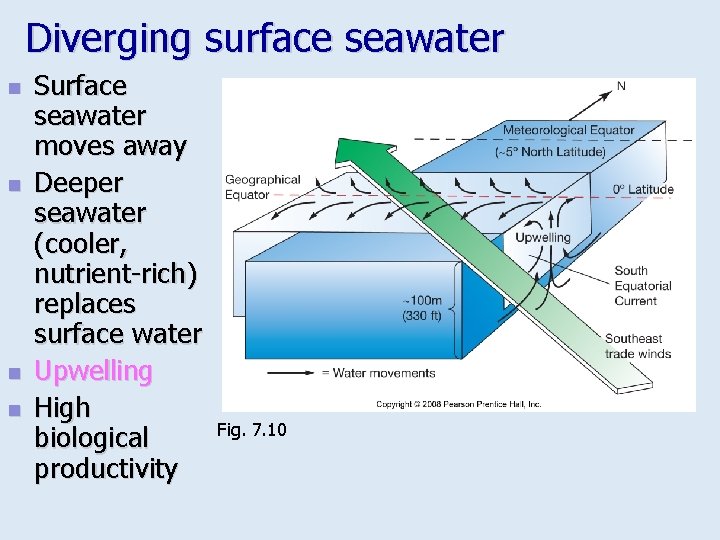 Diverging surface seawater n n Surface seawater moves away Deeper seawater (cooler, nutrient-rich) replaces