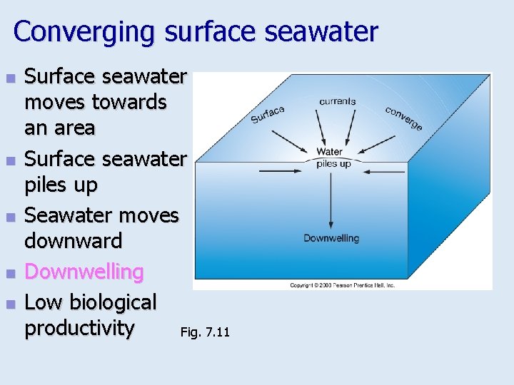 Converging surface seawater n n n Surface seawater moves towards an area Surface seawater