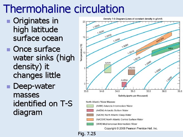 Thermohaline circulation n Originates in high latitude surface ocean Once surface water sinks (high