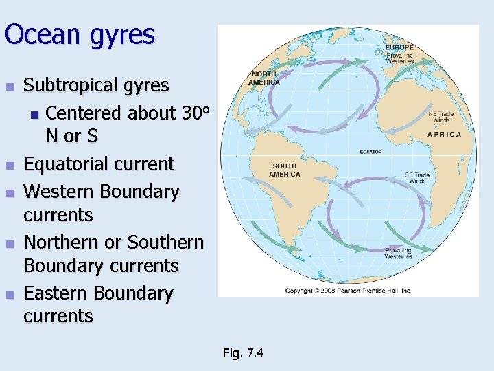 Ocean gyres n n n Subtropical gyres n Centered about 30 o N or