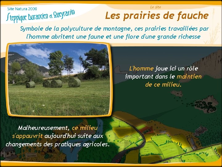 Le site Les prairies de fauche Symbole de la polyculture de montagne, ces prairies