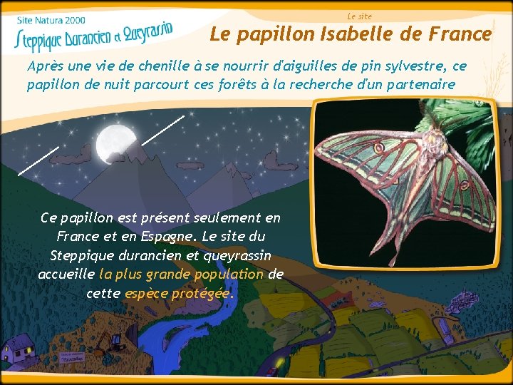 Le site Le papillon Isabelle de France Après une vie de chenille à se