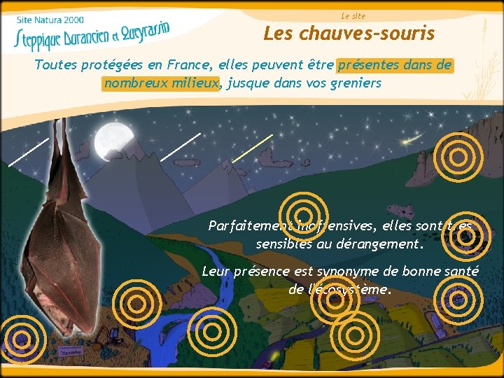 Le site Les chauves-souris Toutes protégées en France, elles peuvent être présentes dans de