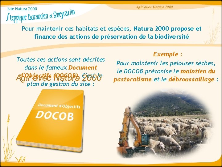 Agir avec Natura 2000 Pour maintenir ces habitats et espèces, Natura 2000 propose et