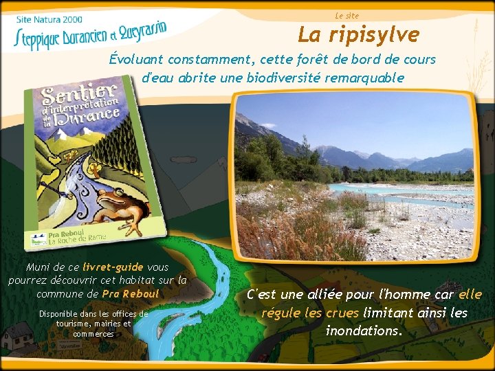 Le site La ripisylve Évoluant constamment, cette forêt de bord de cours d'eau abrite