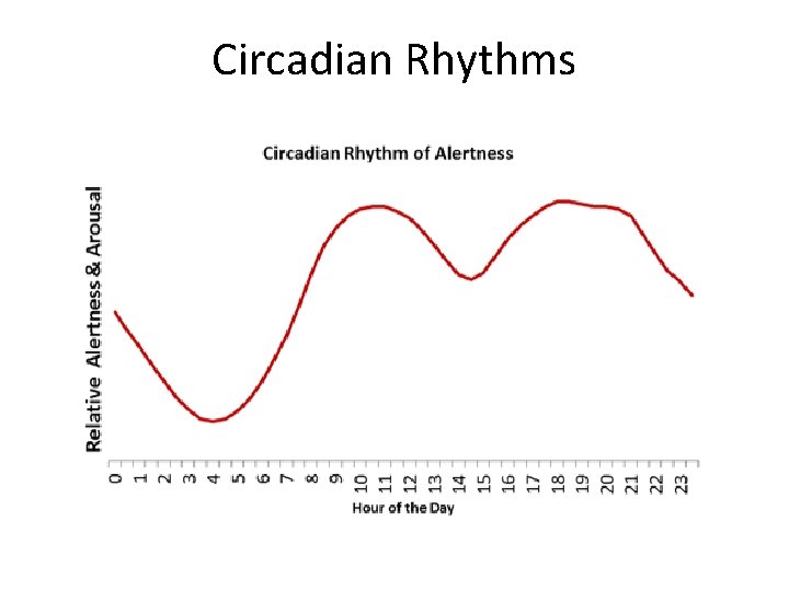 Circadian Rhythms 