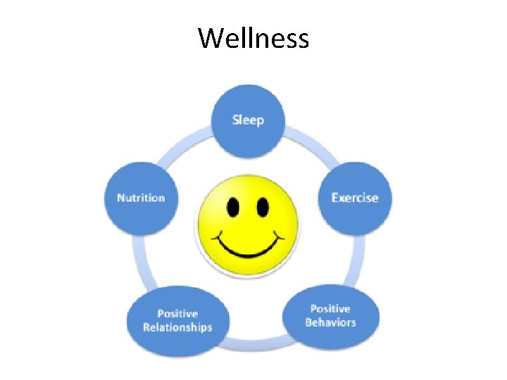 Wellness 