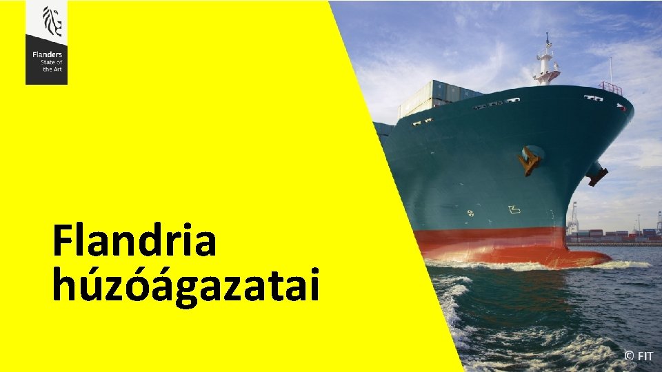 Flandria húzóágazatai 