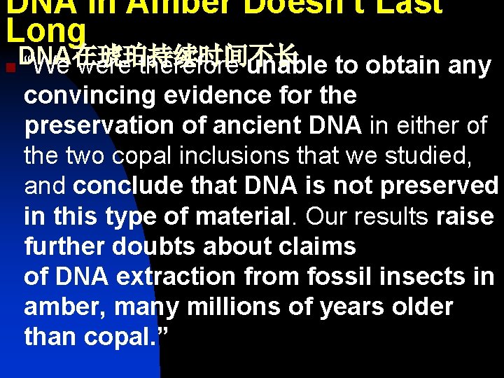 DNA in Amber Doesn’t Last Long DNA在琥珀持续时间不长 n “We were therefore unable to obtain