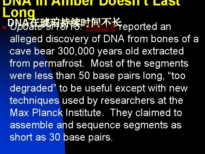 DNA in Amber Doesn’t Last Long DNA在琥珀持续时间不长 n Update 9/18/13: Nature reported an alleged