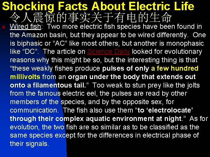 Shocking Facts About Electric Life 令人震惊的事实关于有电的生命 n Wired fish: Two more electric fish species