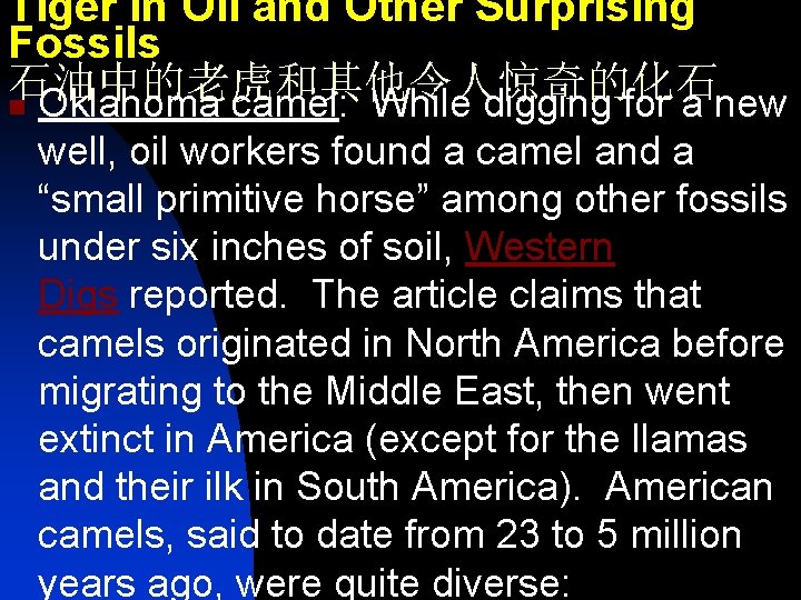 Tiger in Oil and Other Surprising Fossils 石油中的老虎和其他令人惊奇的化石 n Oklahoma camel: While digging for