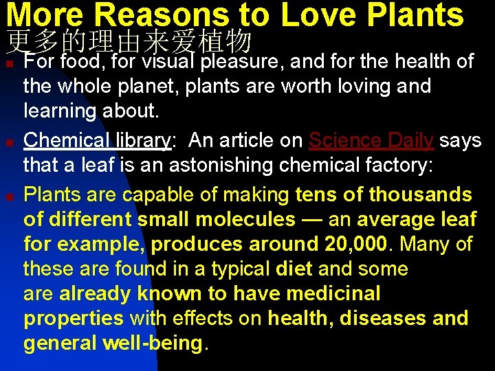 More Reasons to Love Plants 更多的理由来爱植物 n n n For food, for visual pleasure,