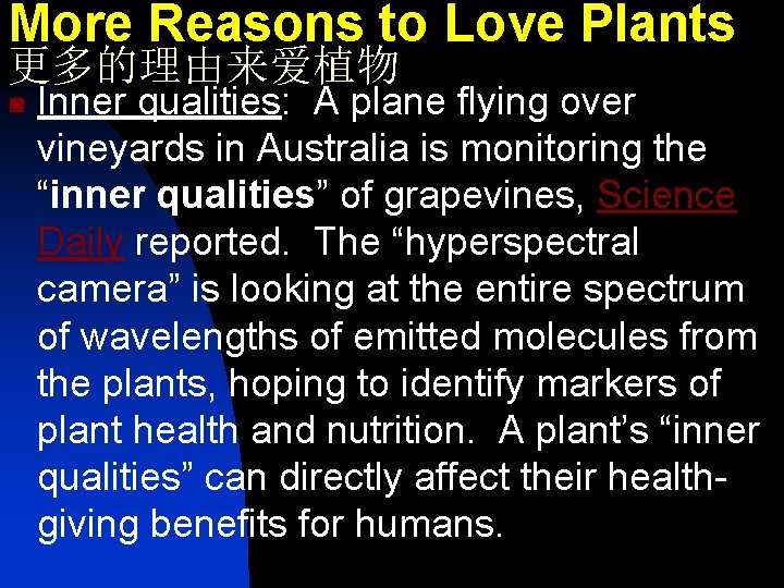 More Reasons to Love Plants 更多的理由来爱植物 n Inner qualities: A plane flying over vineyards