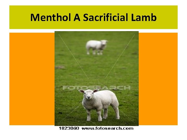 Menthol A Sacrificial Lamb 