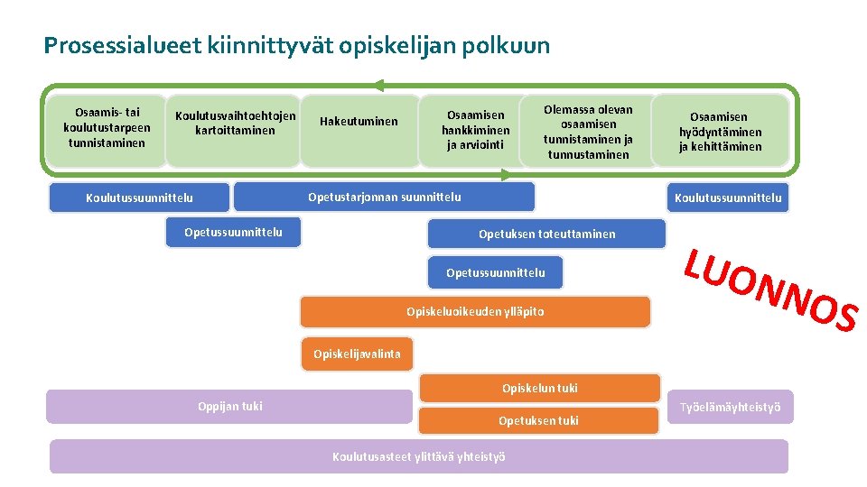 Prosessialueet kiinnittyvät opiskelijan polkuun Osaamis- tai koulutustarpeen tunnistaminen Koulutusvaihtoehtojen kartoittaminen Hakeutuminen Osaamisen hankkiminen ja