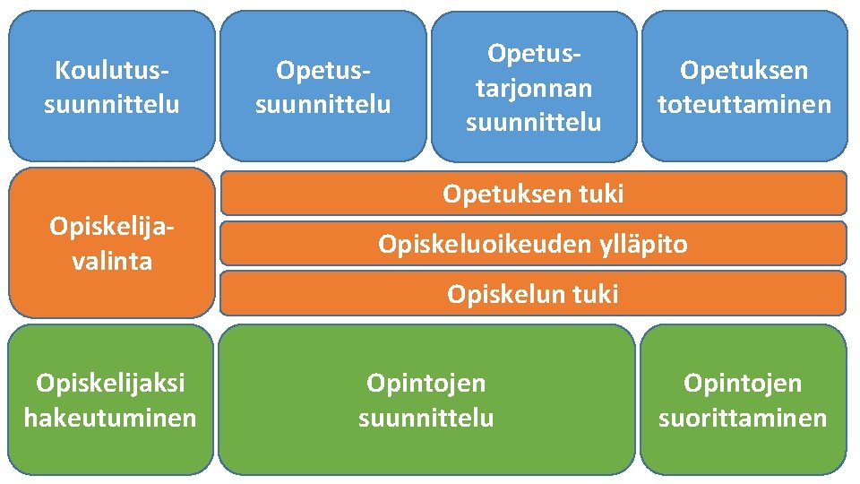 Koulutussuunnittelu Opiskelijavalinta Opiskelijaksi hakeutuminen Opetussuunnittelu Opetustarjonnan suunnittelu Opetuksen toteuttaminen Opetuksen tuki Opiskeluoikeuden ylläpito Opiskelun