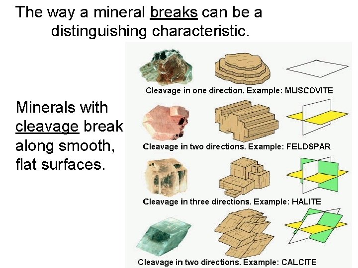 The way a mineral breaks can be a distinguishing characteristic. Minerals with cleavage break