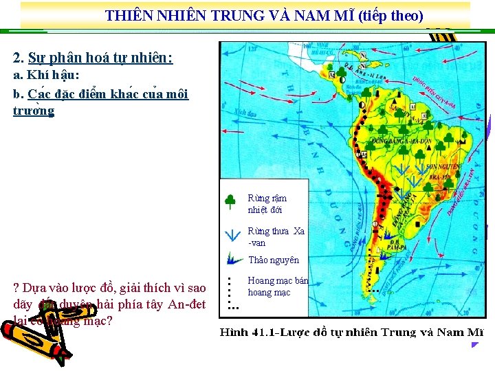 THIÊN NHIÊN TRUNG VÀ NAM MĨ (tiếp theo) 2. Sự phân hoá tự nhiên: