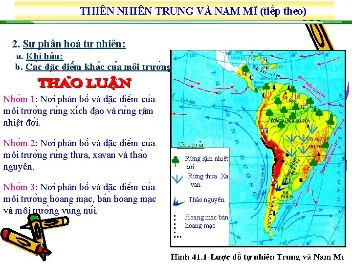 THIÊN NHIÊN TRUNG VÀ NAM MĨ (tiếp theo) 2. Sự phân hoá tự nhiên: