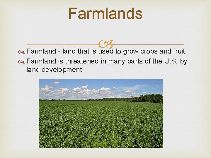Farmlands Farmland - land that is used to grow crops and fruit. Farmland is