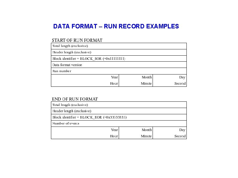 DATA FORMAT – RUN RECORD EXAMPLES 