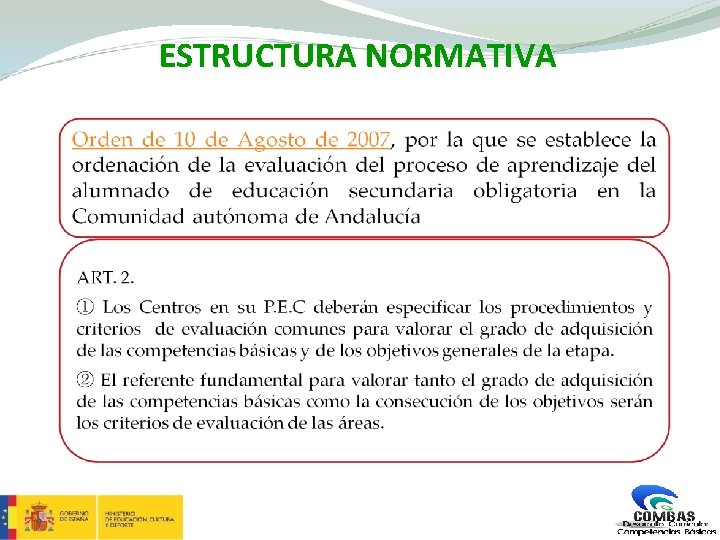 ESTRUCTURA NORMATIVA 