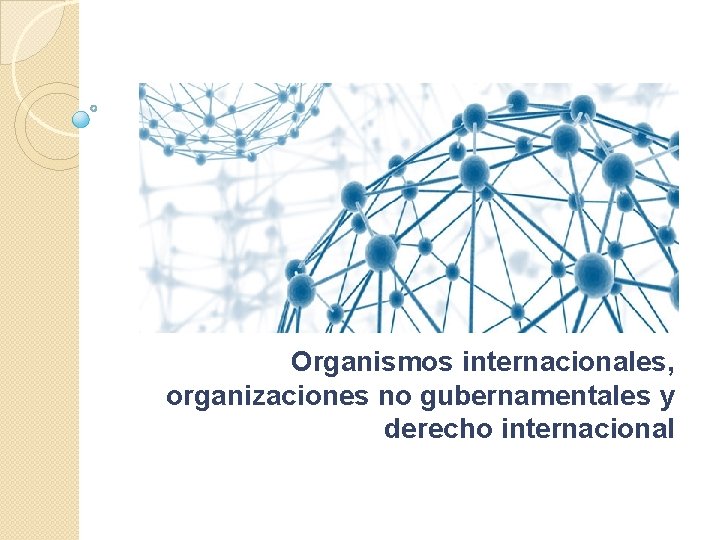 Organismos internacionales, organizaciones no gubernamentales y derecho internacional 