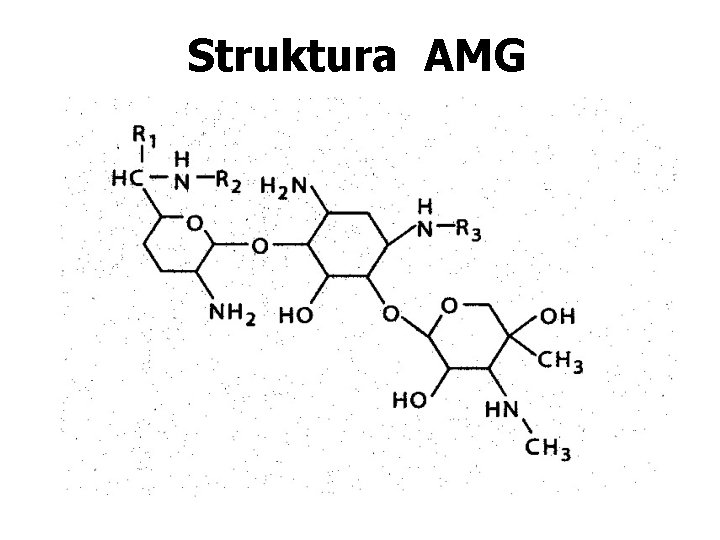 Antimikrobiln terapie 6 Aminoglykosidy kolistin IK MUDr Renata