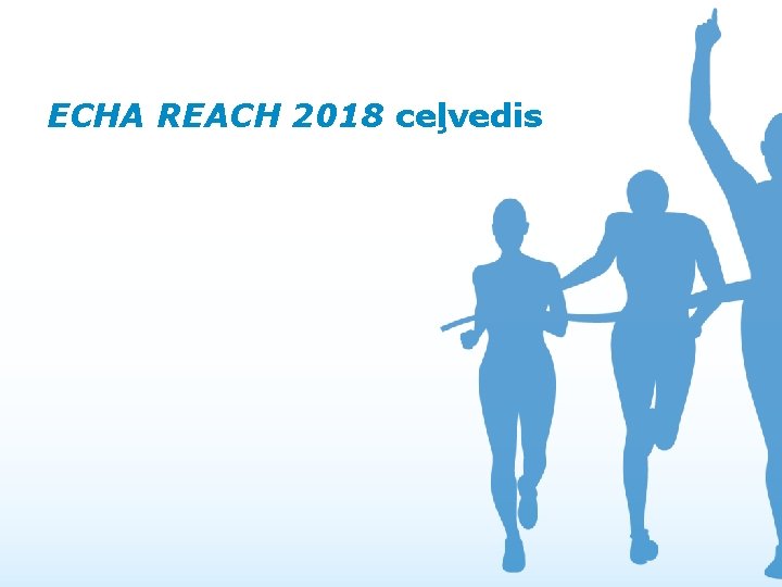 ECHA REACH 2018 ceļvedis 