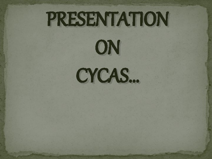 PRESENTATION ON CYCAS… PRESENTATION ON CYCAS…