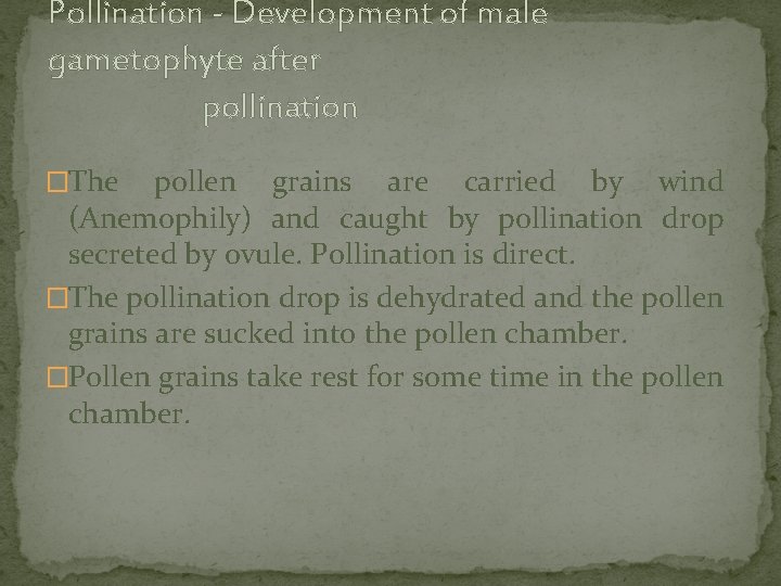 Pollination - Development of male gametophyte after pollination �The pollen grains are carried by