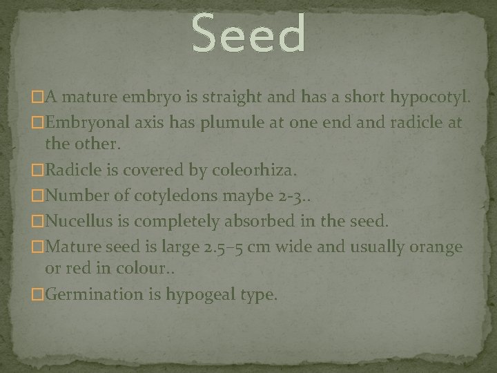 Seed �A mature embryo is straight and has a short hypocotyl. �Embryonal axis has