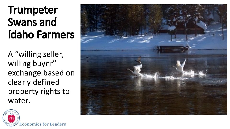 Trumpeter Swans and Idaho Farmers A “willing seller, willing buyer” exchange based on clearly