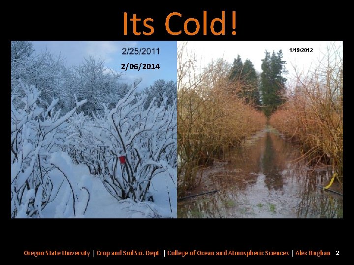 Its Cold! 1/19/2012 2/06/2014 Oregon State University | Crop and Soil Sci. Dept. |