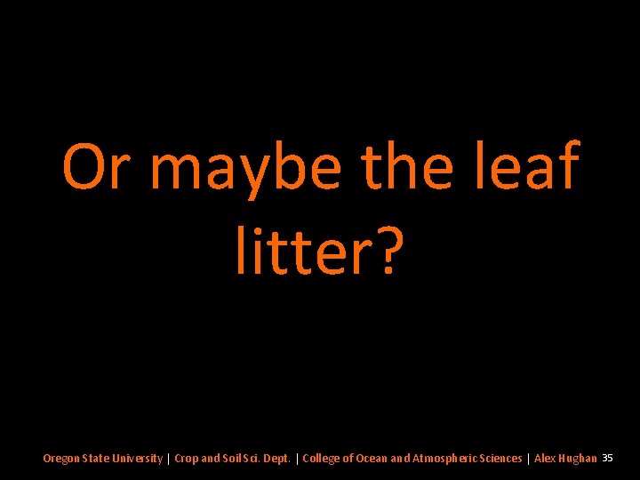 Or maybe the leaf litter? Oregon State University | Crop and Soil Sci. Dept.