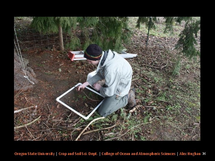Oregon State University | Crop and Soil Sci. Dept. | College of Ocean and