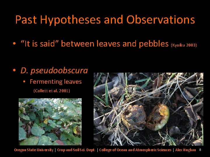 Past Hypotheses and Observations • “It is said” between leaves and pebbles (Kyoiku 2003)
