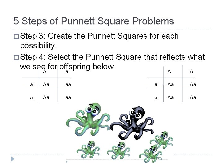 5 Steps of Punnett Square Problems � Step 3: Create the Punnett Squares for