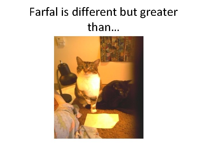 Farfal is different but greater than… 